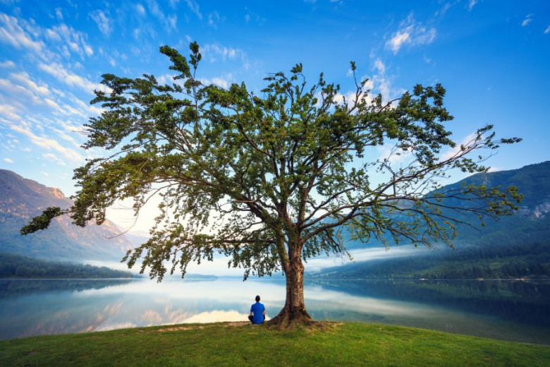By the Lake Bohinj_Photo borchee GettyImages