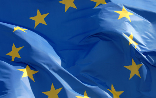 drapeaux PE 003 17 by European Parliament velika