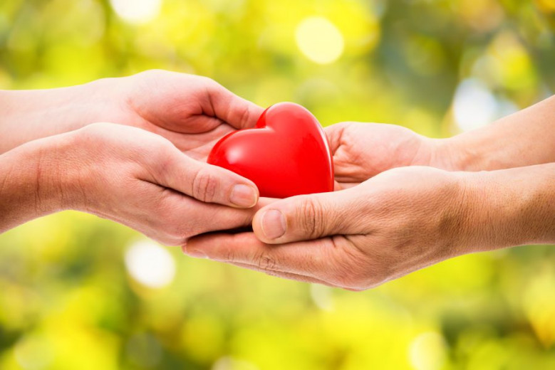 Red heart in human hands.