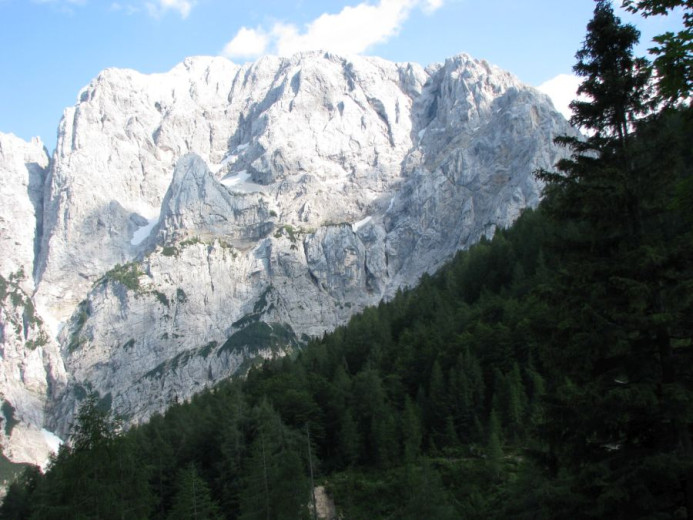 Rocky mountain face under a blue sky with scattered clouds, towering over dense, green pine forest. The scene conveys a sense of grandeur and tranquility.
