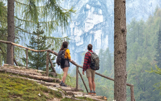 Two hikers with backpacks pause on a tree-lined path, gazing at distant rocky cliffs. The scene conveys exploration and appreciation of nature.