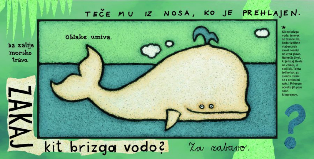 Ilustracija Lile Prap Zakaj kit