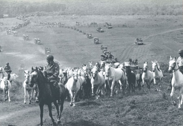 Relocating the herd from Hostouň