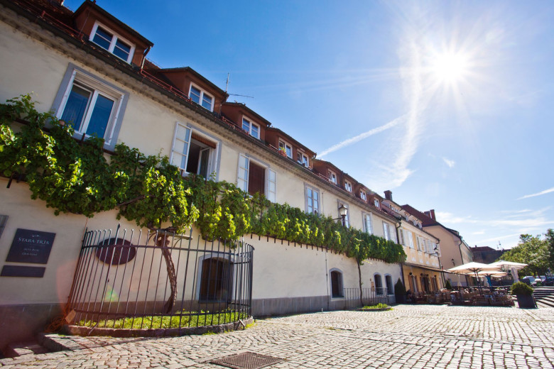 a house with lot of grape vine