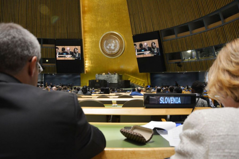 Slika generalne skupščine ZN