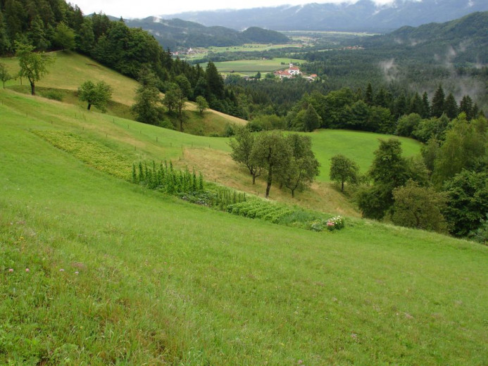 Slika 4 kulturna krajina Savina nad Ljubnim 10.7.07foto T. Hohnec