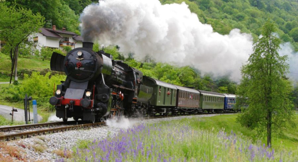 A steam locomotive pulls vintage carriages through countryside, releasing steam beside tracks lined with flowers.