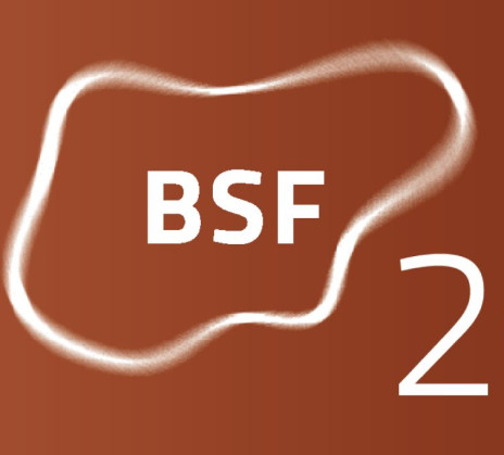 velika bsf BSF