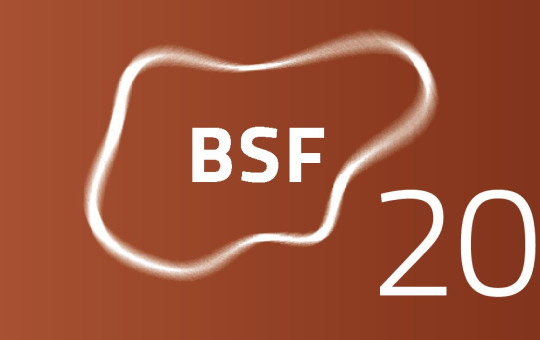velika bsf BSF