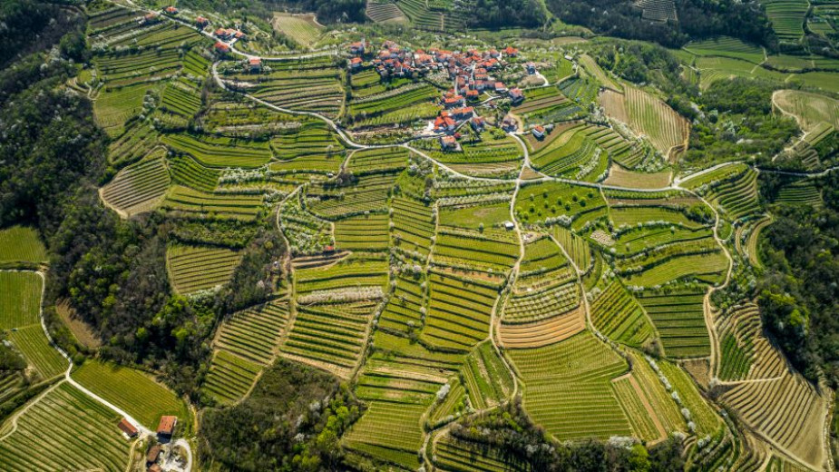 MALA Terase Vedrijan (1 of 14)