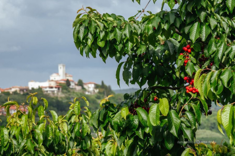 mala FB IMG 1775202809038