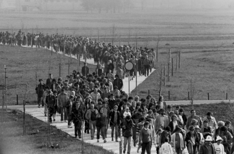 A huge group of people walking down a gravel path next to meadows