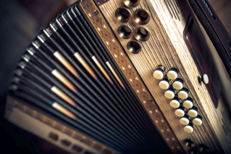 A photo of the diatonic button accordion