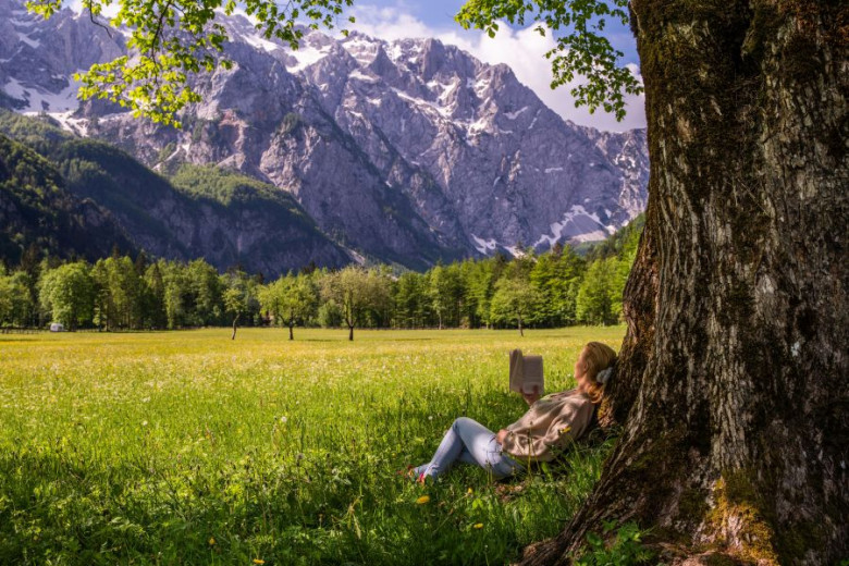 A girl, leaning against a tree, reads a book. View of a meadow and mountains.