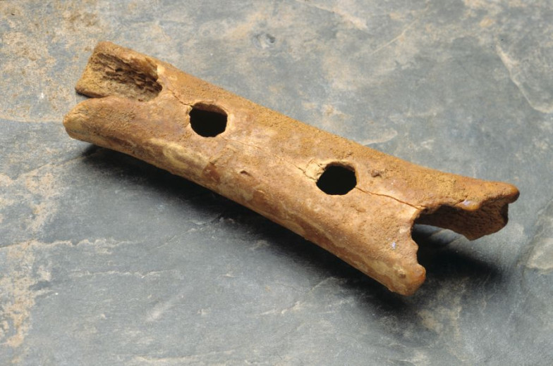 The Neanderthal flute, bone flute on a stone surface, featuring two visible holes.