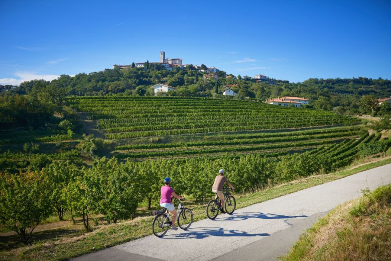 A cyclists on the road. View of a green hill with vines and a village on top.