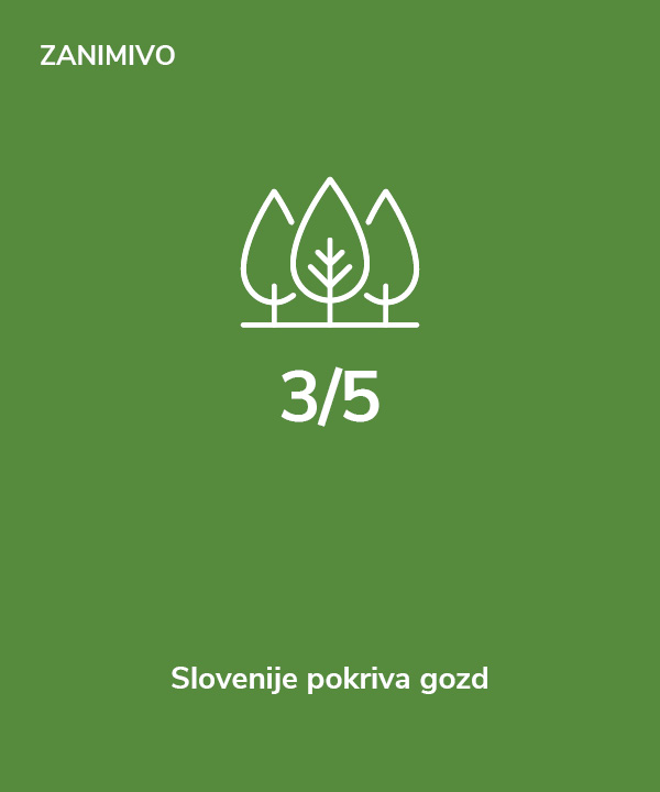 Zanimivo - 3/5 Slovenije pokriva gozd