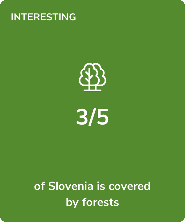 Interesting fact - 3/5 of Slovenia is covered by forests