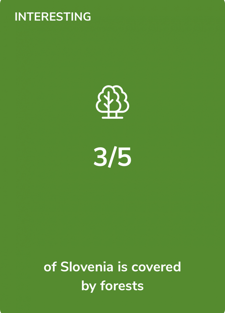 Interesting fact - 3/5 of Slovenia is covered by forests