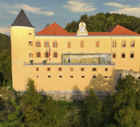 The image shows a large yellow castle with a red roof and a round tower on the left side. In the middle, there is a glass terrace and a clock. The castle stands on a hill surrounded by forest.