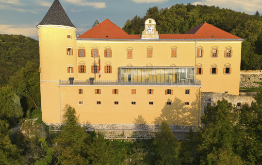 The image shows a large yellow castle with a red roof and a round tower on the left side. In the middle, there is a glass terrace and a clock. The castle stands on a hill surrounded by forest.