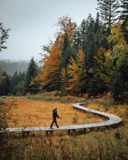 A man walks on a winding wooden path through a vibrant autumn forest with orange and green foliage.