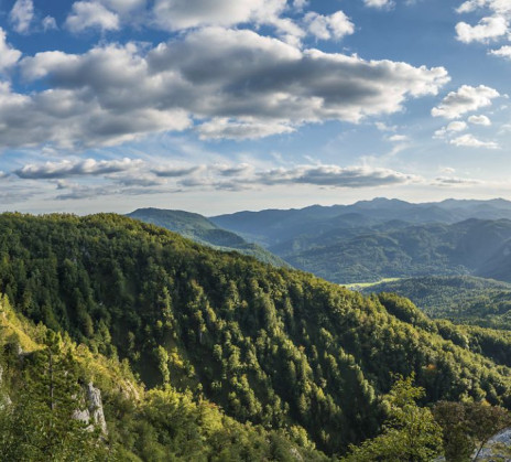 Panoramic view of lush green forested hills under a sky with scattered clouds. 