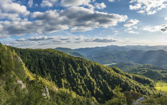 Panoramic view of lush green forested hills under a sky with scattered clouds. 