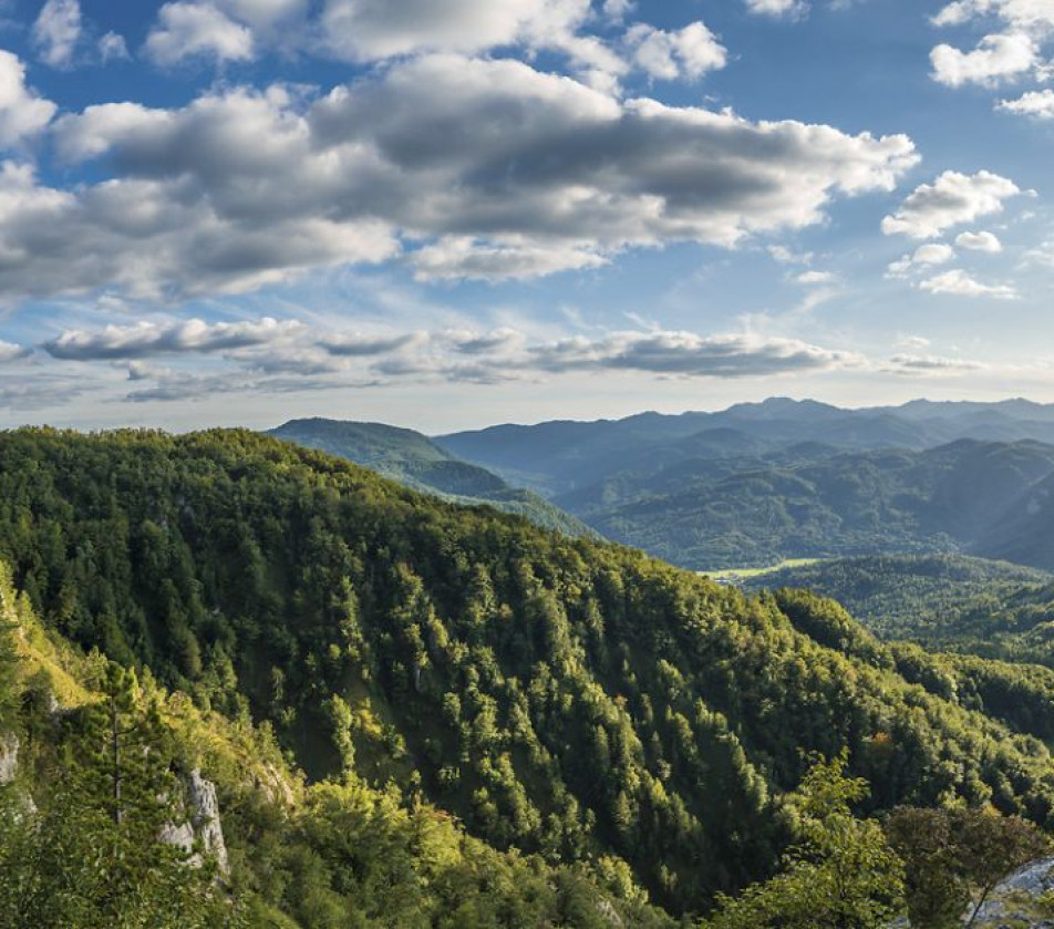 Panoramic view of lush green forested hills under a sky with scattered clouds. 