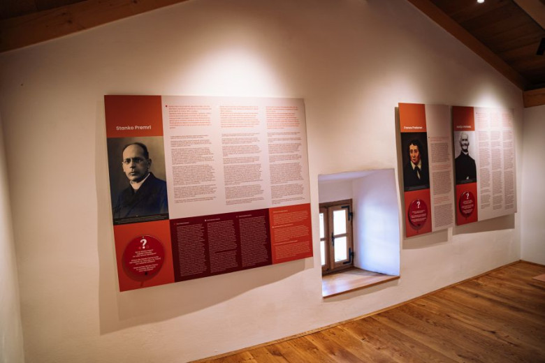 MALA MALALuka Fabčič 5