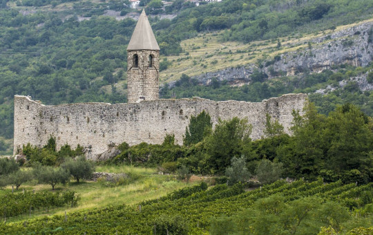 Kamnit  zid z visokim stolpom nad vinogradi in zelenimi griči.