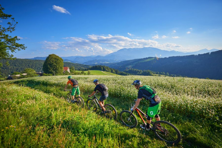 Trije kolesarji kolesarijo med travniki. Pogled na hribe, poraščene z gozdovi.
