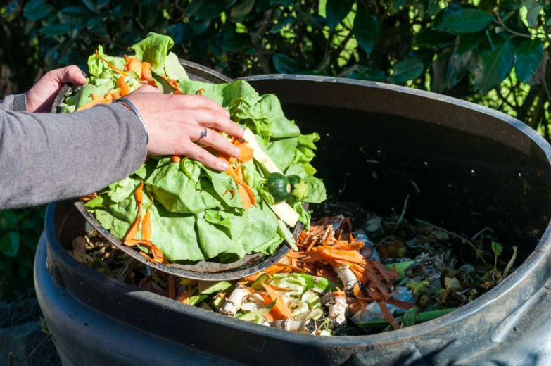 A person throws vegetables into the composter.