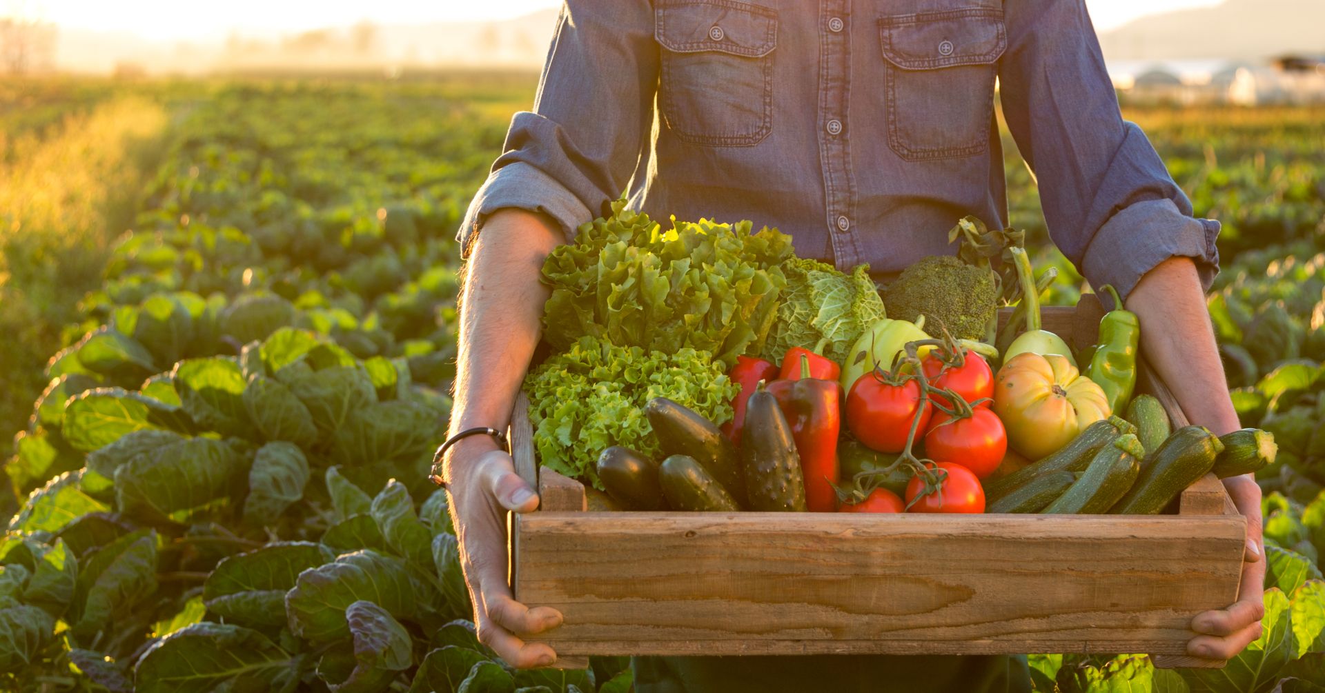 Farm Work 1