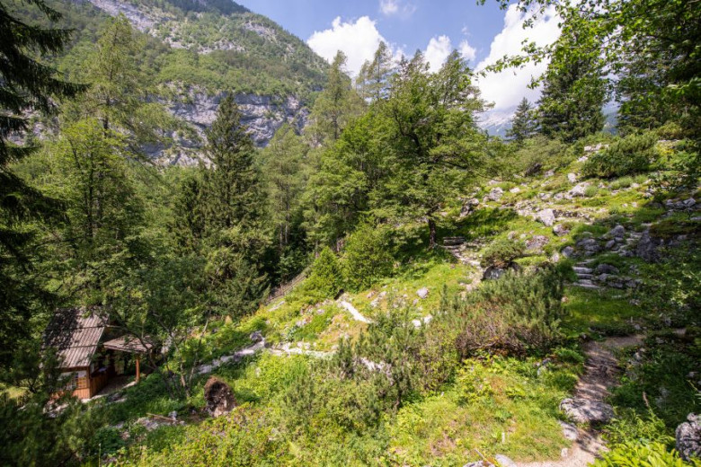 View of the Juliana Alpine Botanical Garden in Trenta, Slovenia, with mountain trails, Alpine vegetation and the surrounding Julian Alps.