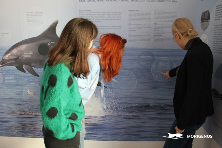Three women reading an informational board about dolphins. There is also a picture of a dolphin on the board. 