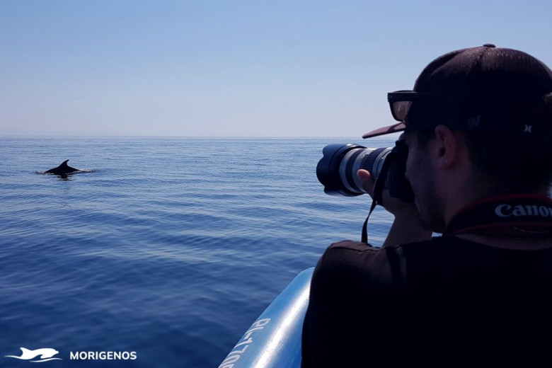 Man with a photo camera on a boat is taking a picture of a dolphin in the water. 