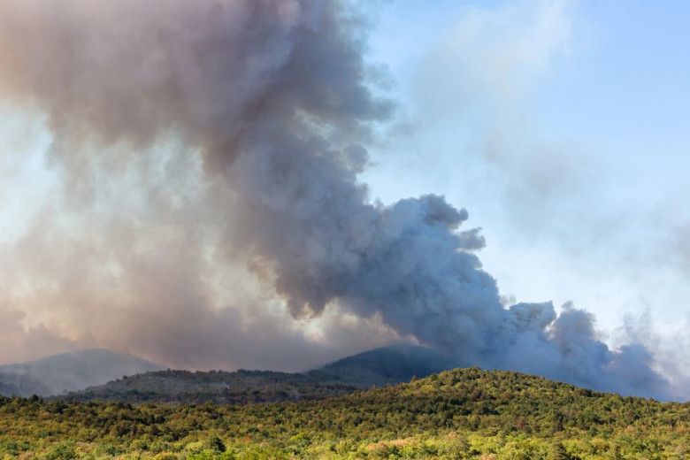 Dense smoke billows from a forested hillside.