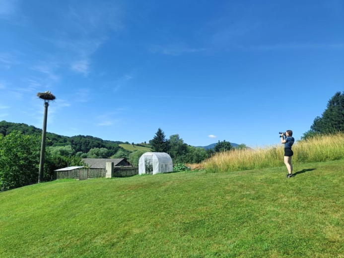 This photo shows a woman standing on a medow taking a photo of a stork nest on a high pole.
