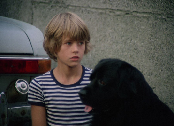 A photo of a blond-haired boy sitting next to a black Newfoundland dog.