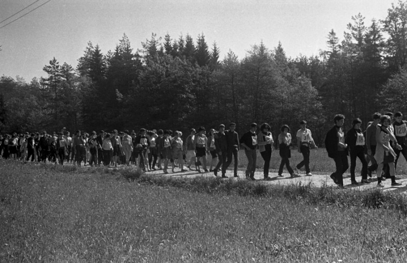 A huge group of people walking o gravel path along the meadows and avenue of trees