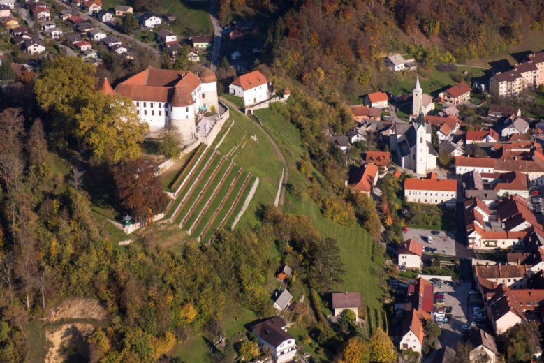 A small town with few houses and castle