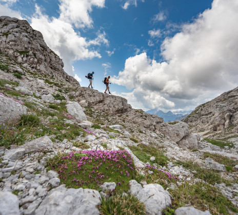 Naslovnica Julijske Alpe