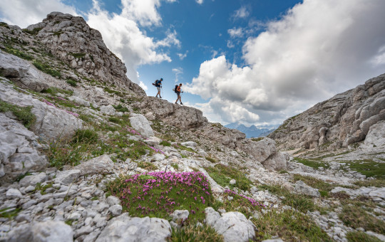 Naslovnica Julijske Alpe