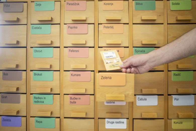 The image shows a wooden cabinet with many small drawers, each labeled with the name of a vegetable or plant, such as ‘Tomato,’ ‘Carrot,’ ‘Cucumber,’ and ‘Celery.’ A hand is holding a small packet of seeds and placing it into the drawer labeled ‘Celery.’ 