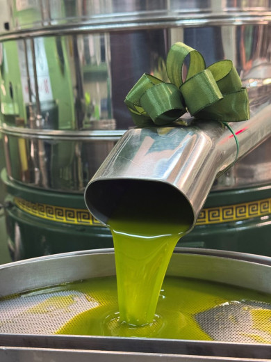 Olive oil flowing from a  steel pipe into a metal basin with a mesh surface.