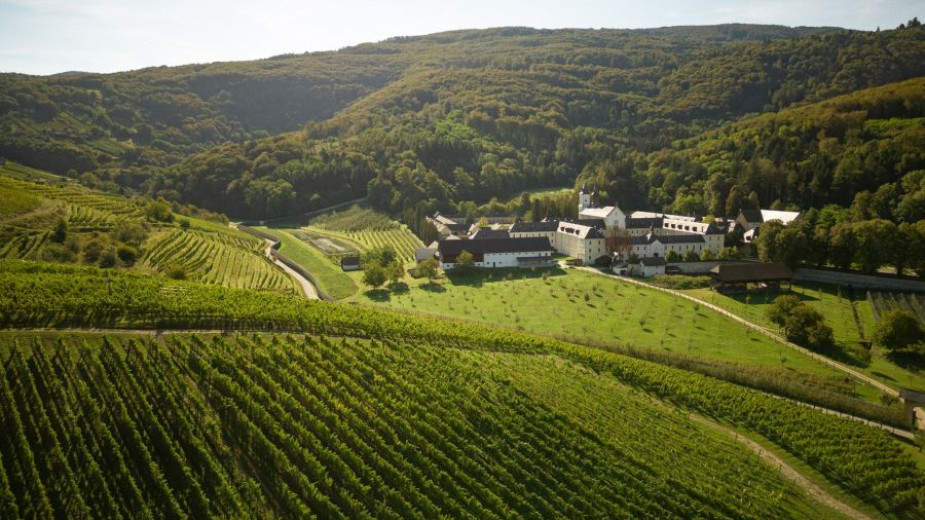 Zračni pogled na bujen vinograd na valovitih gričih z velikim belim posestvom, ugnezdenim med drevesi. Prizor je miren in obsijan z nežno sončno svetlobo.