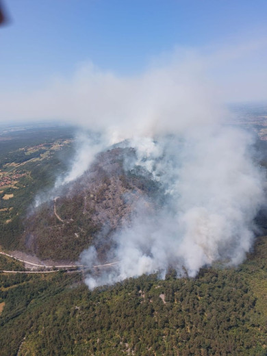 Fire on the hill with forest