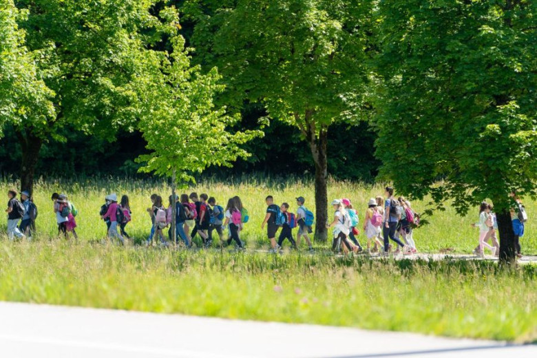 People are walking in the nature by the forest and fields