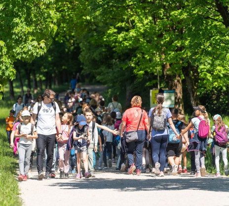 A large group of children is walking along the trail, among the trees.